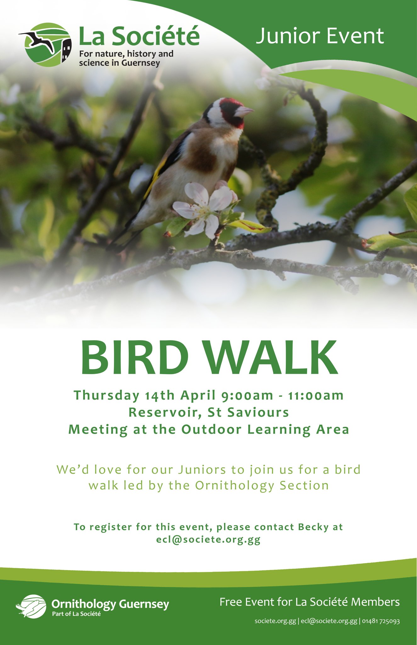 Bird Walk | Guernsey with Kids