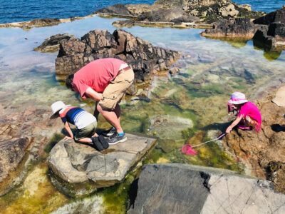 Eperquerie Rock Pooling Sark