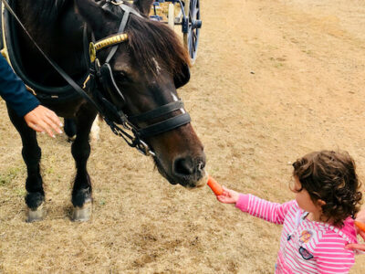 Jess Feeding Willow A Carrot