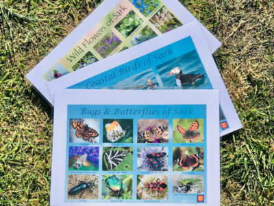 GWK Laminated Nature sheets from Sark Tourist Centre