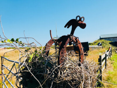 Quirky Dog by Sark Henge